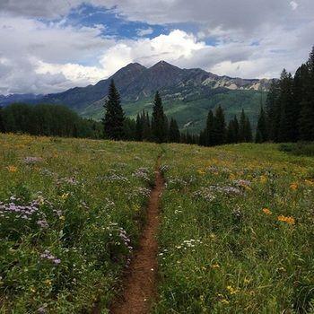 San Moritz Condominiums Mount Crested Butte Экстерьер фото